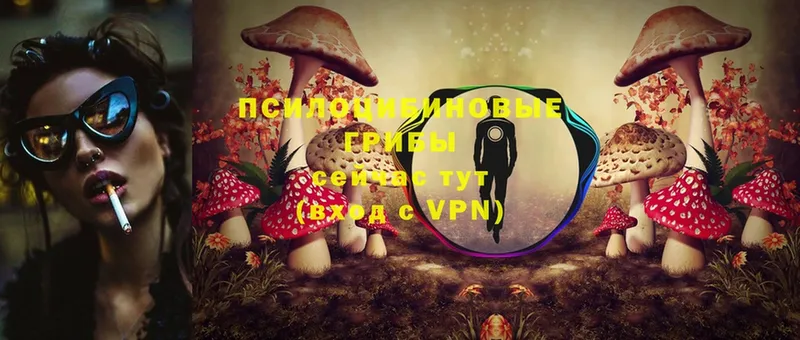 Псилоцибиновые грибы Psilocybe  Бирюч 